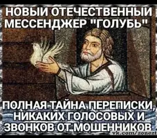 1000050638.webp