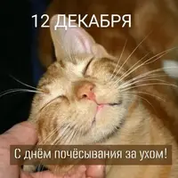 e2dea1.webp