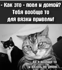1000051437.webp