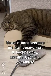 Screenshot_20251214_044319_Facebook.webp