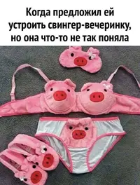 xgefkxd7.webp