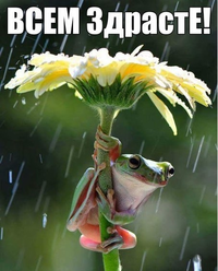 VK_Saved_Photo_ 636186403496988548.webp