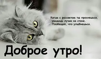 ok-saved-image-AC4F471AEA5123BA2FB4040D504772B5.webp