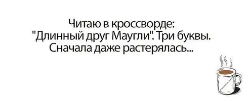 ok-saved-image-E64C5CC092A49DE7E850BF796C7C7323.webp