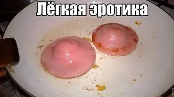 51.webp