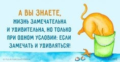 VK_Saved_Photo_ 636212109917798796.webp