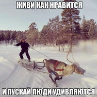 VK_Saved_Photo_ 636218758715385426.webp