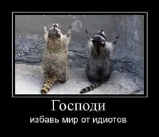 тне.webp