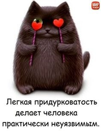 VK_Saved_Photo_ 636212104429318798.webp