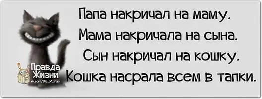 мс.webp