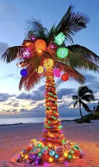IMG_8206.webp