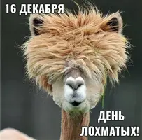 scale_1200.webp
