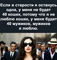 IMG_8205.webp