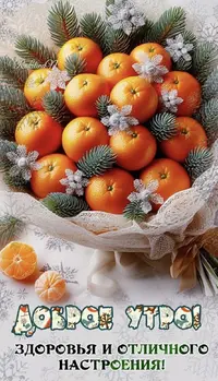 IMG_8263.webp