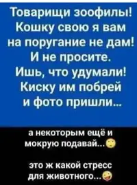 1000049835.webp
