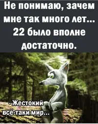 InShot_20251218_144652729.webp