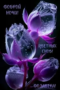 206_170041_100.webp