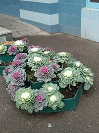 20251219120957.webp