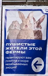 2025122014.webp