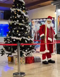 IMG_3812.webp