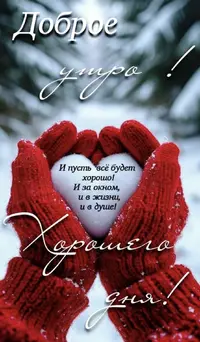 IMG_8369.webp
