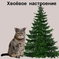 imgonline-com-ua-Resize-6i7xY3PnRKS.webp
