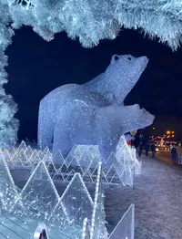 IMG_20251224_003320.webp