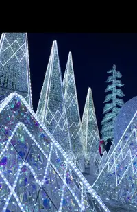 IMG_20251224_003613.webp