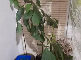 20251224_203009.webp