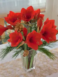 20251225_130954.webp