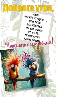 eb8868687ea1e4f67dc1ad067f8f637a.webp