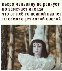 1000051968.webp