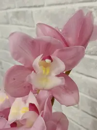 20251228154639.webp
