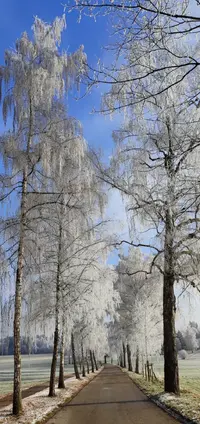 IMG_20251230_134438.webp