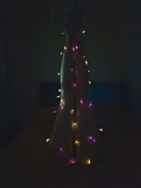 1000052129.webp