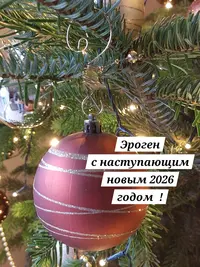 20251214_152906.webp