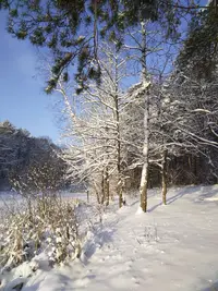 IMG_20260101_115751_256.webp