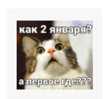 gv2uxqsq.webp