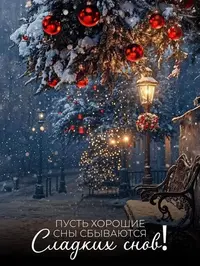 102_213606_867.webp