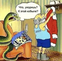 1767448605071.webp