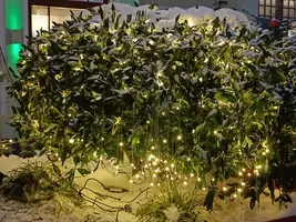 20260105083537.webp