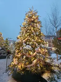 20260105084512.webp