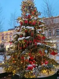 20260105084636.webp