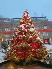 20260105084710.webp