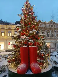 20260105084722.webp