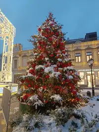 20260105084730.webp