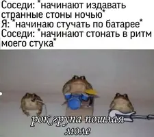 wi3kwkf3.webp