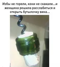 104_164519_538.webp