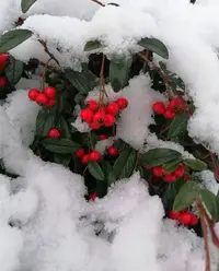 20260108_114522.webp