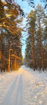 IMG20260108164946.webp